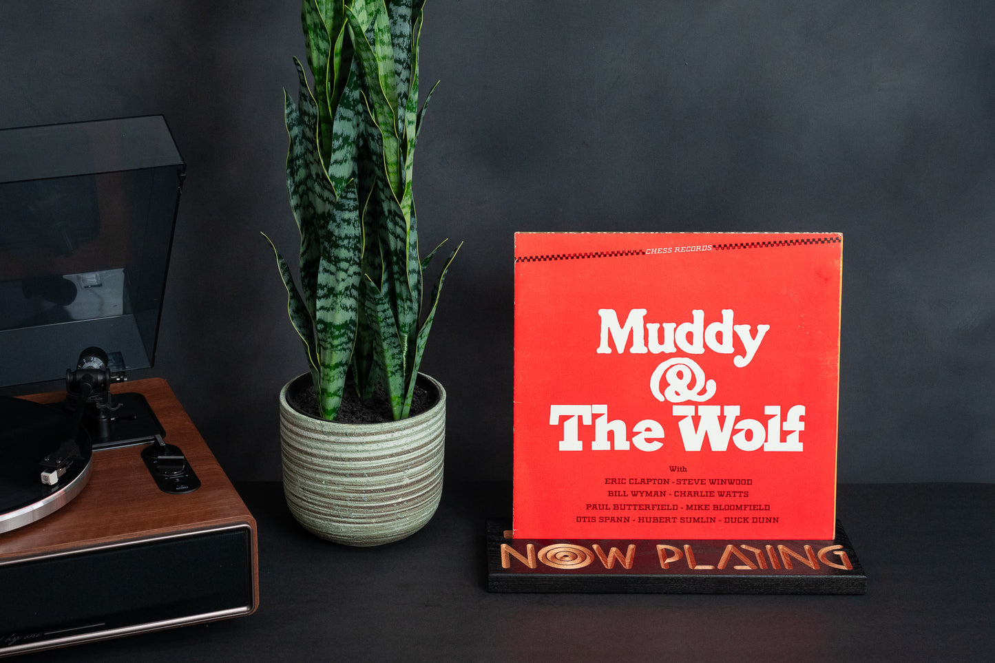 Vinyl Record Stand