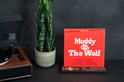 Vinyl Record Stand
